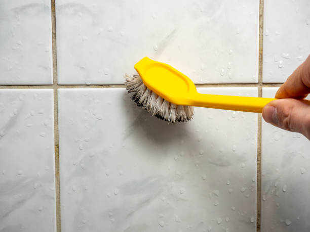 Best Mold Testing  in Nashville, MI