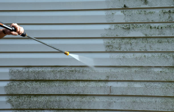 Best Attic Mold Removal  in Nashville, MI