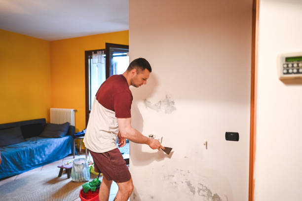 Best Mold Damage Repair  in Nashville, MI